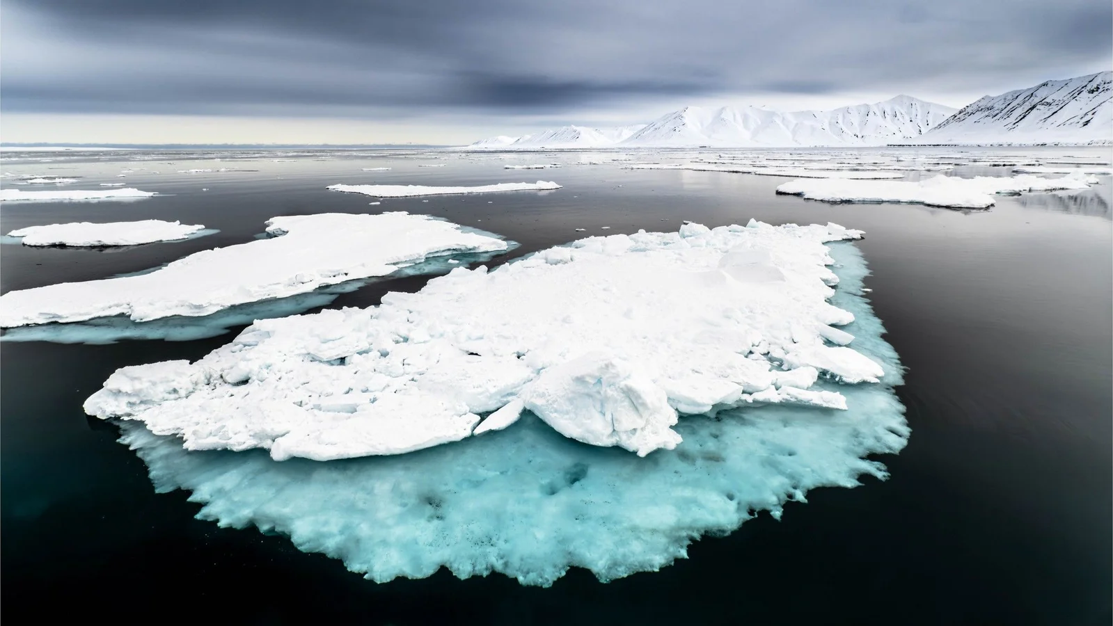 Arctic sea-ice melt triggers nutrient tipping point, threatening the food web