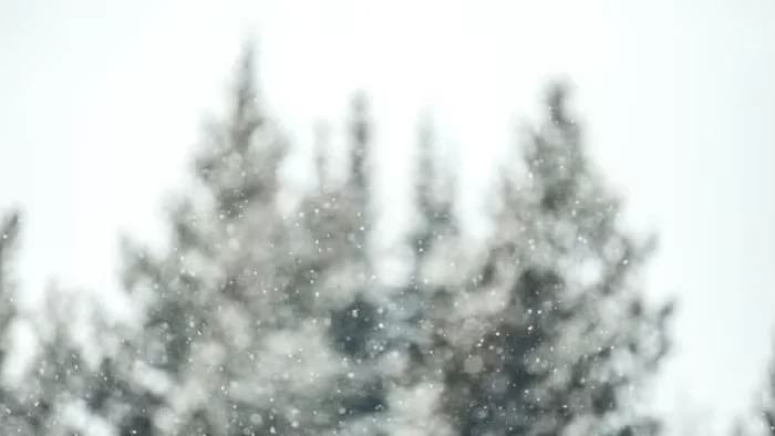 Record Halloween Snowfall Blankets Metro Detroit and West Michigan