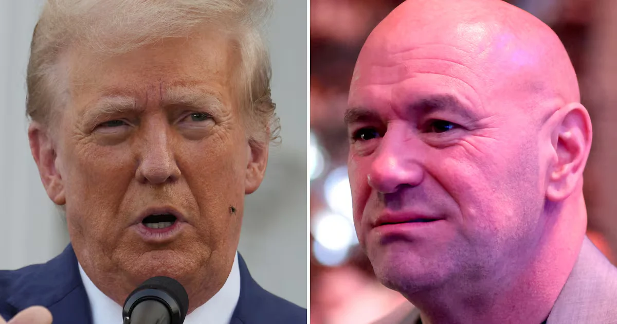 Gnat Dilemma Threatens White House UFC Night