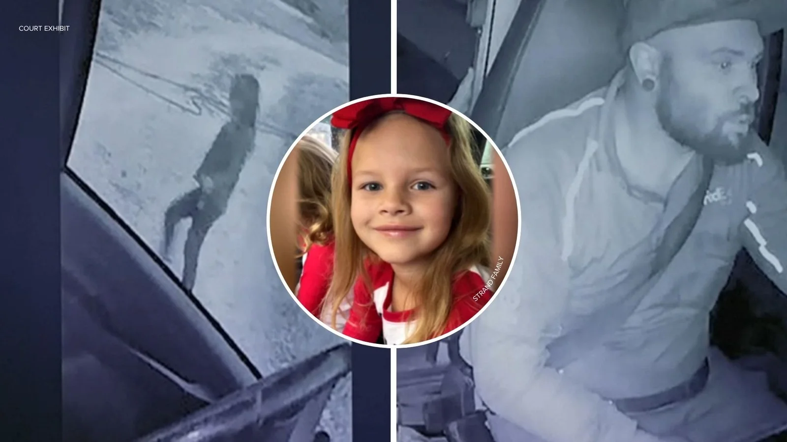 FedEx driver pleads guilty in Paradise girl's death, faces death penalty