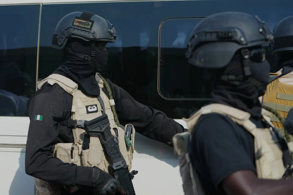 IS militants strike Nigerian village, 29 dead