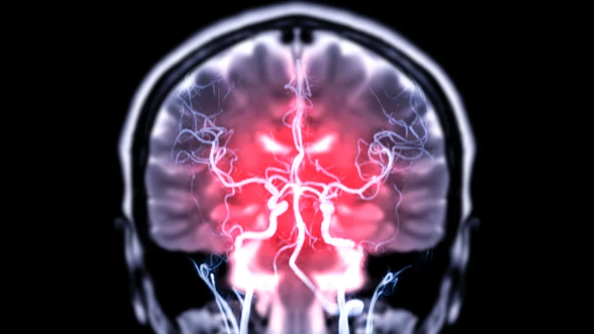 Acetylcholine Sparks Habit Change in Mice, New Study Finds