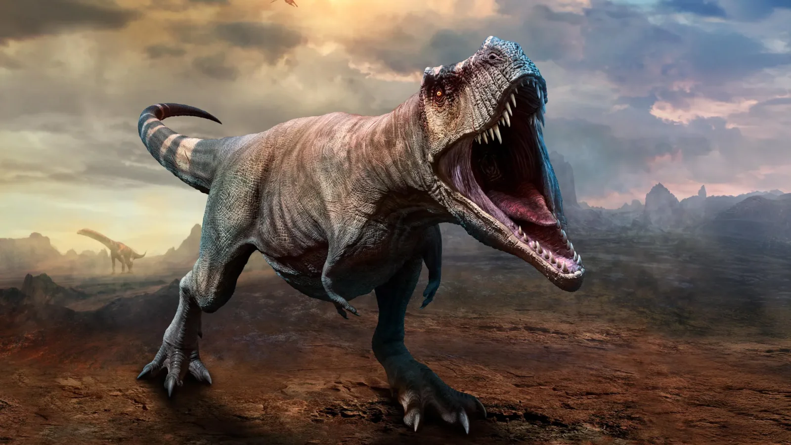 T. rex grew for four decades before reaching full size, study finds