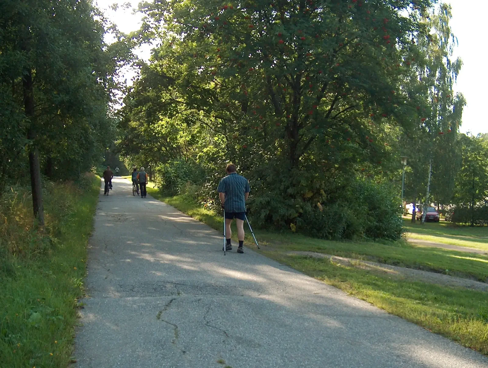 Pole Power: Nordic Walking Poles Boost Calorie Burn by 20%