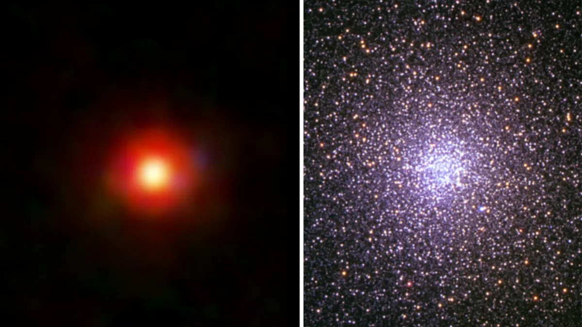 JWST's Little Red Dots May Be the Birthplace of Globular Clusters