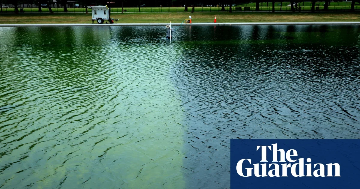 Algae Outbreak Derailed Trump-Backed Reflecting Pool Makeover