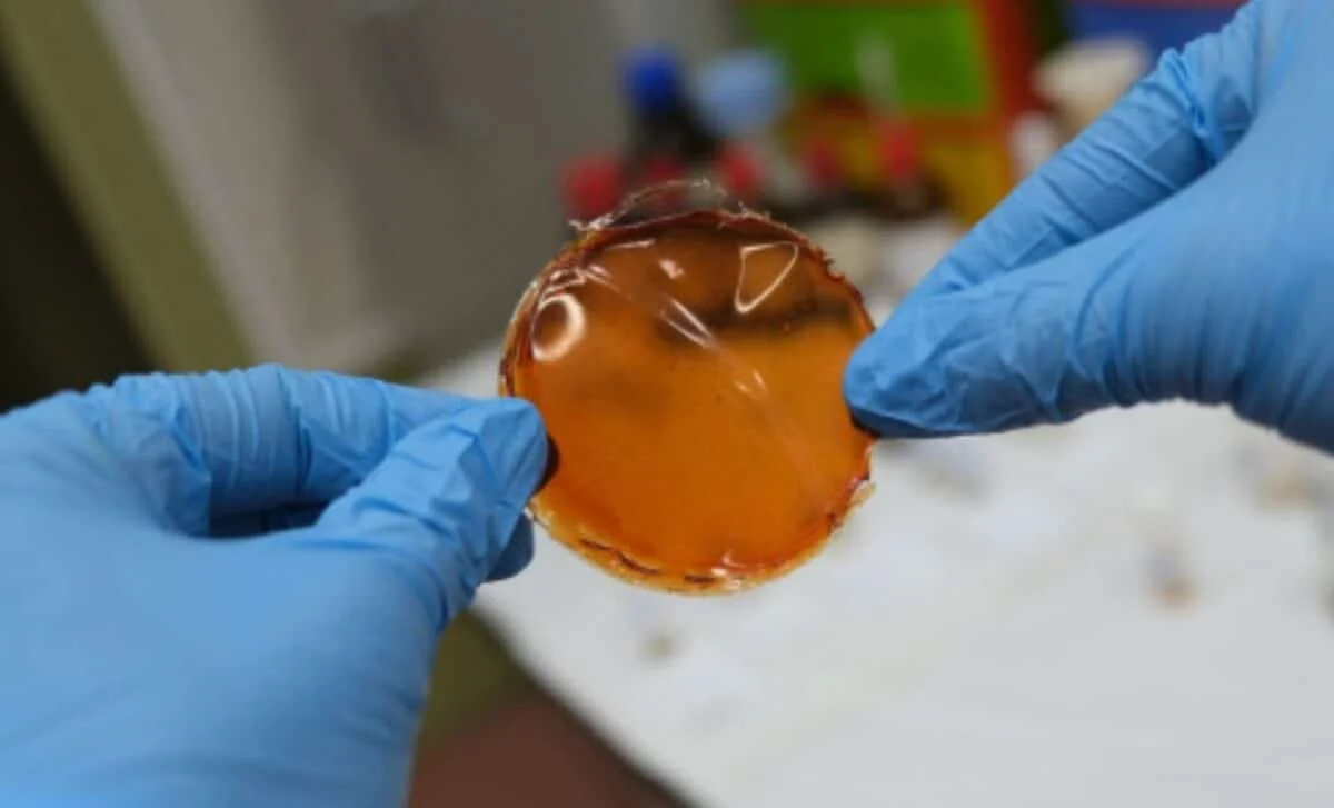 Spanish Researchers Unveil Ultra-Fast Hydrogen Purification Membrane