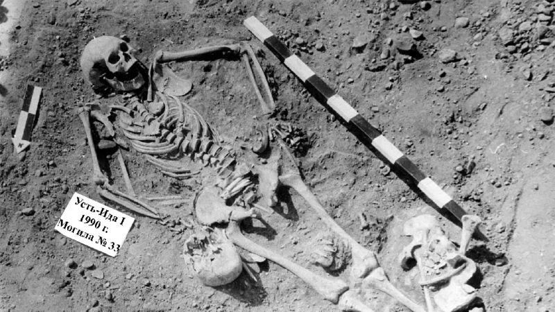 Earliest plague found in 5,500-year-old Siberian graves reshapes origins