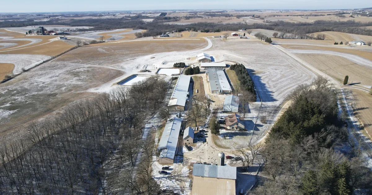 Hundreds of activists storm Ridglan Farms, triggering arrests and tense police response