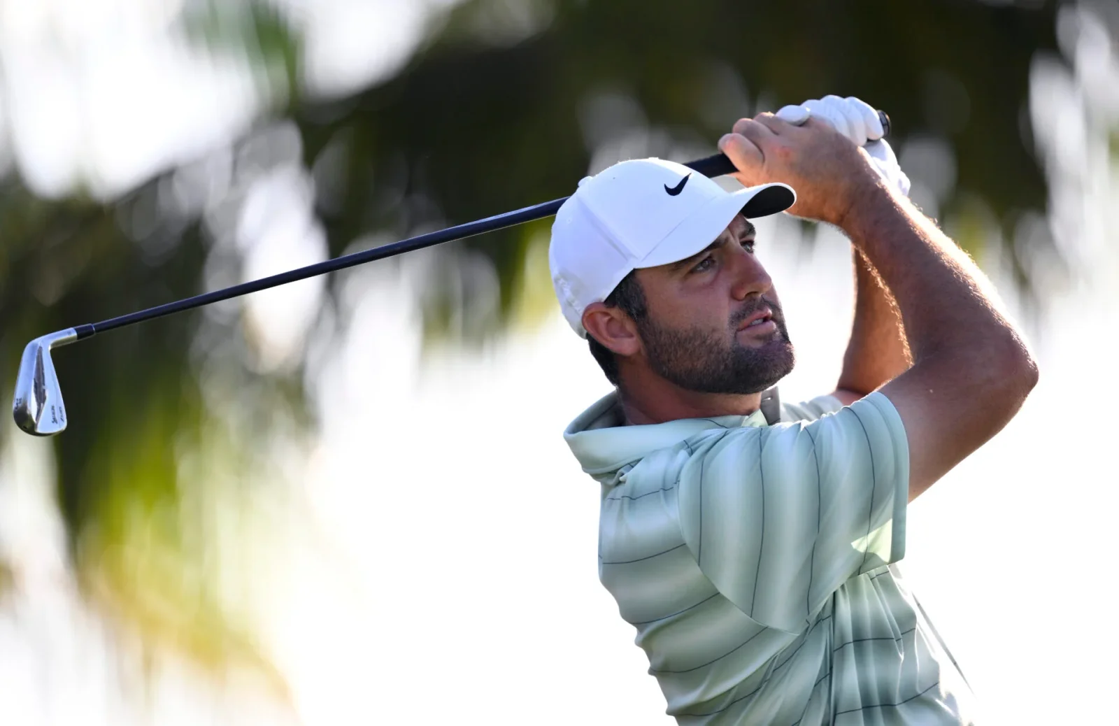 Scheffler Shines With Bogey-Free Back Nine at Doral's Blue Monster