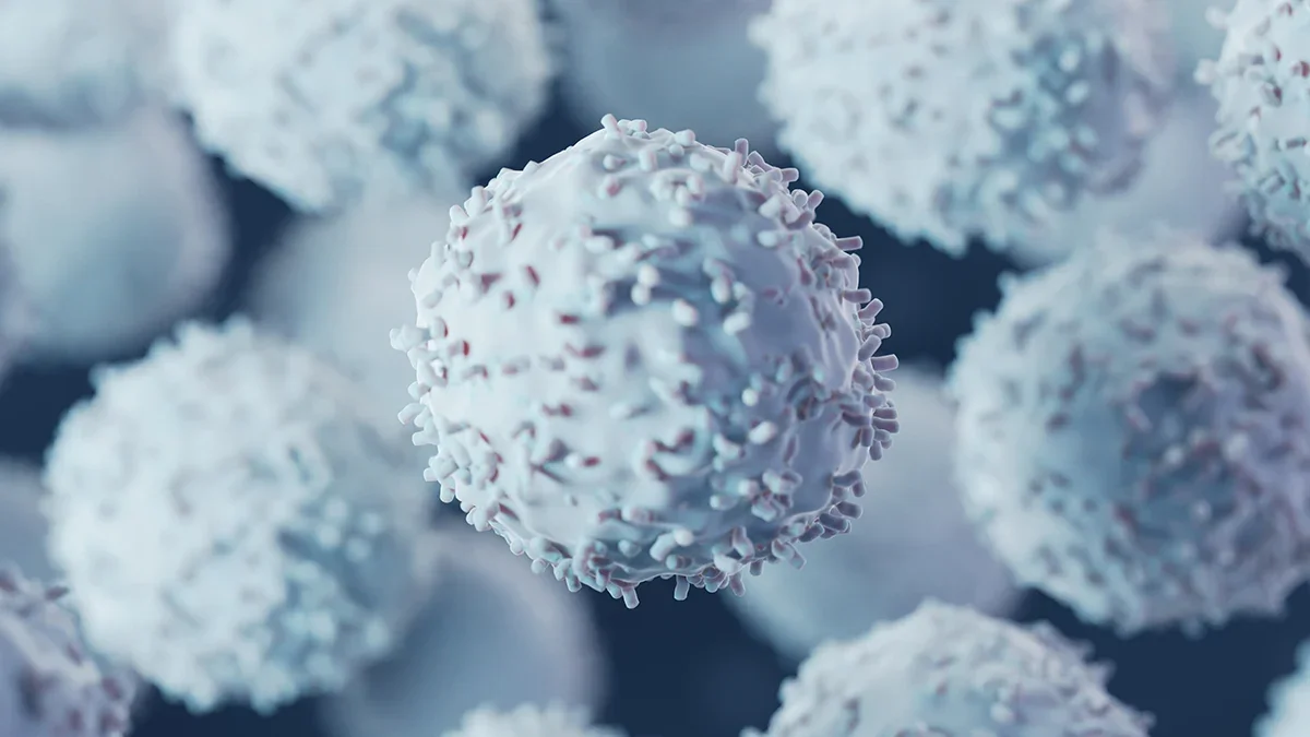 Hidden Cancer IDs Spotted by Helper T Cells, Opening New Immunotherapy Avenues