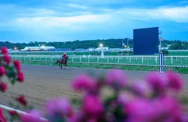 Incredibolt Joins Preakness 2026, Field Expands to 14