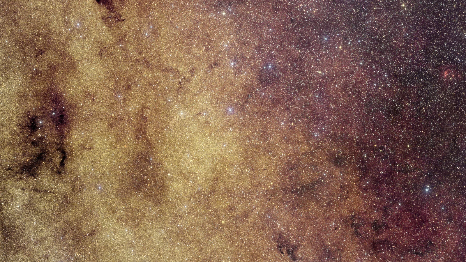 Euclid captures the Milky Way’s crowded heart to weigh exoplanets
