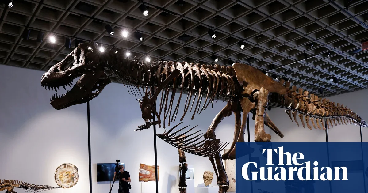 Record T. rex fossil Gus sells for $50.1 million at Sotheby’s New York