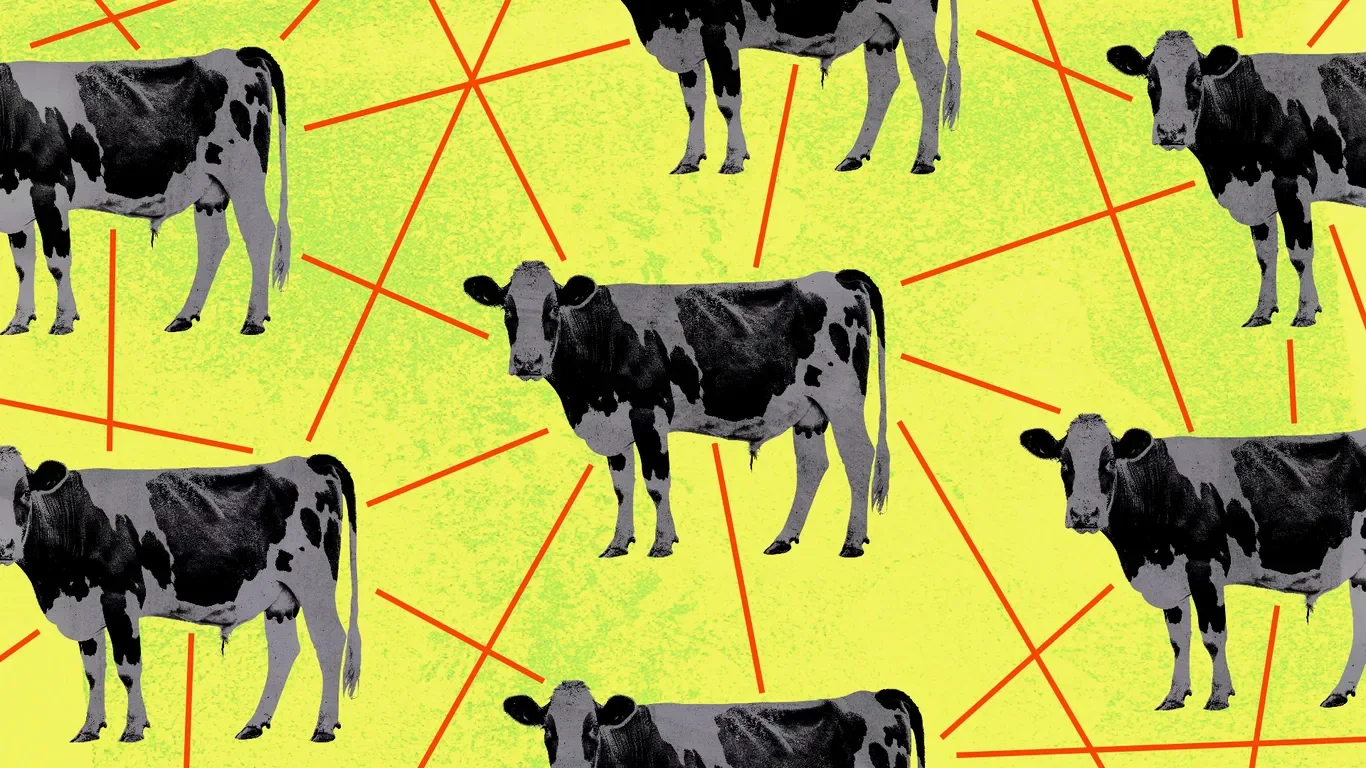 Trump aims to empower farmers to process their own meat, stirring industry backlash