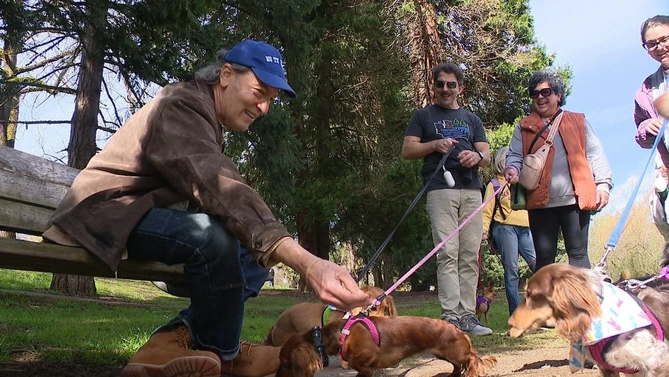 Birthday Sign at Green Lake Sparks Seattle Dog-Patting Joy