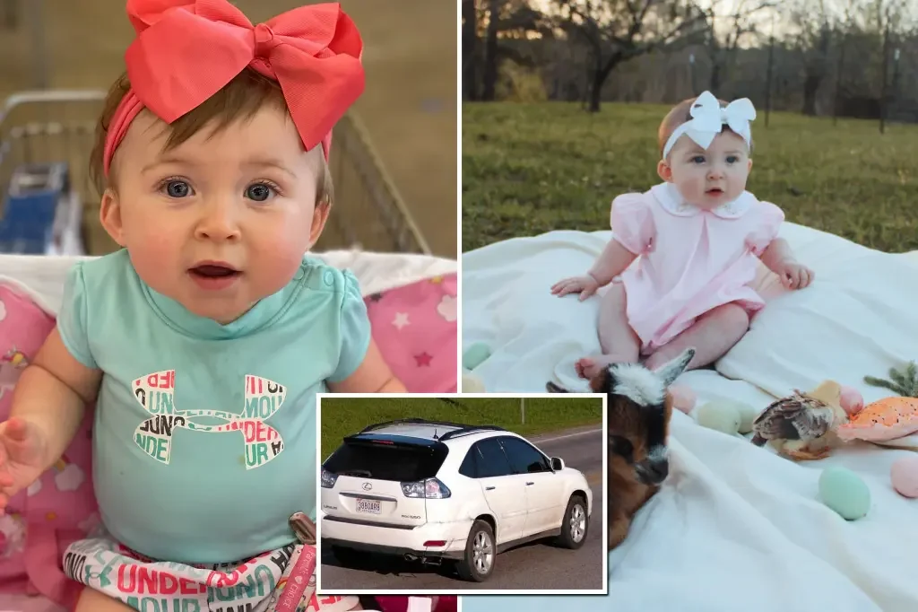 Miracle in Parrish: Kidnapped Infant Found Safe in Stolen Car