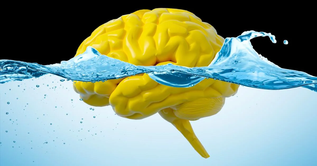 Abdominal muscle contractions may drive brain movement to flush waste, new study says