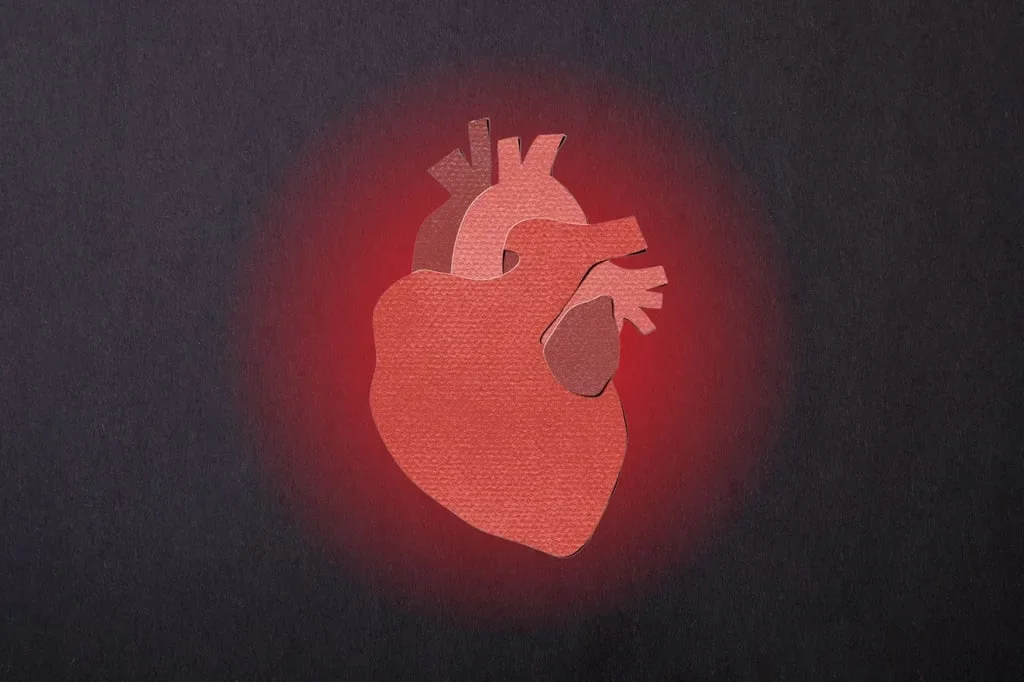 Preventable Heart Disease Demands a Proactive Health Shift