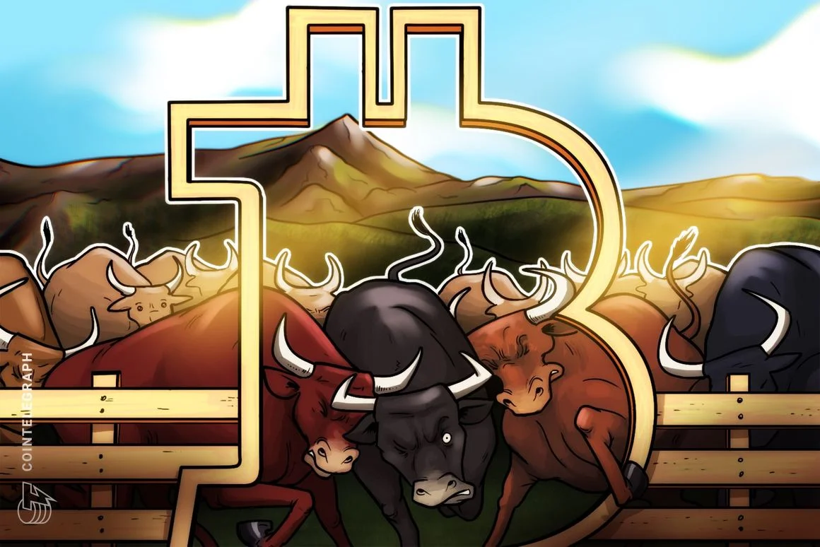 Bitcoin Bulls Eye Accelerated Bull Run with $30K Springboard