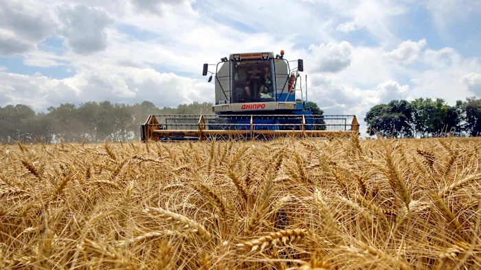 Black Sea grain lifeline at risk as Russia escalates strikes