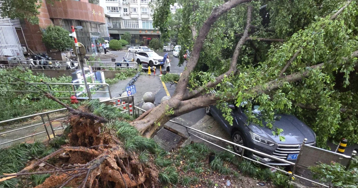 China bets on AI weather forecasts to sharpen typhoon warnings