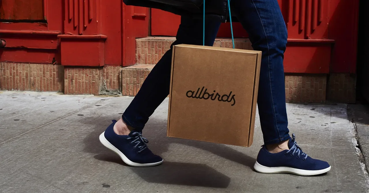 Allbirds Bets on AI Compute, Rebrands as NewBird AI