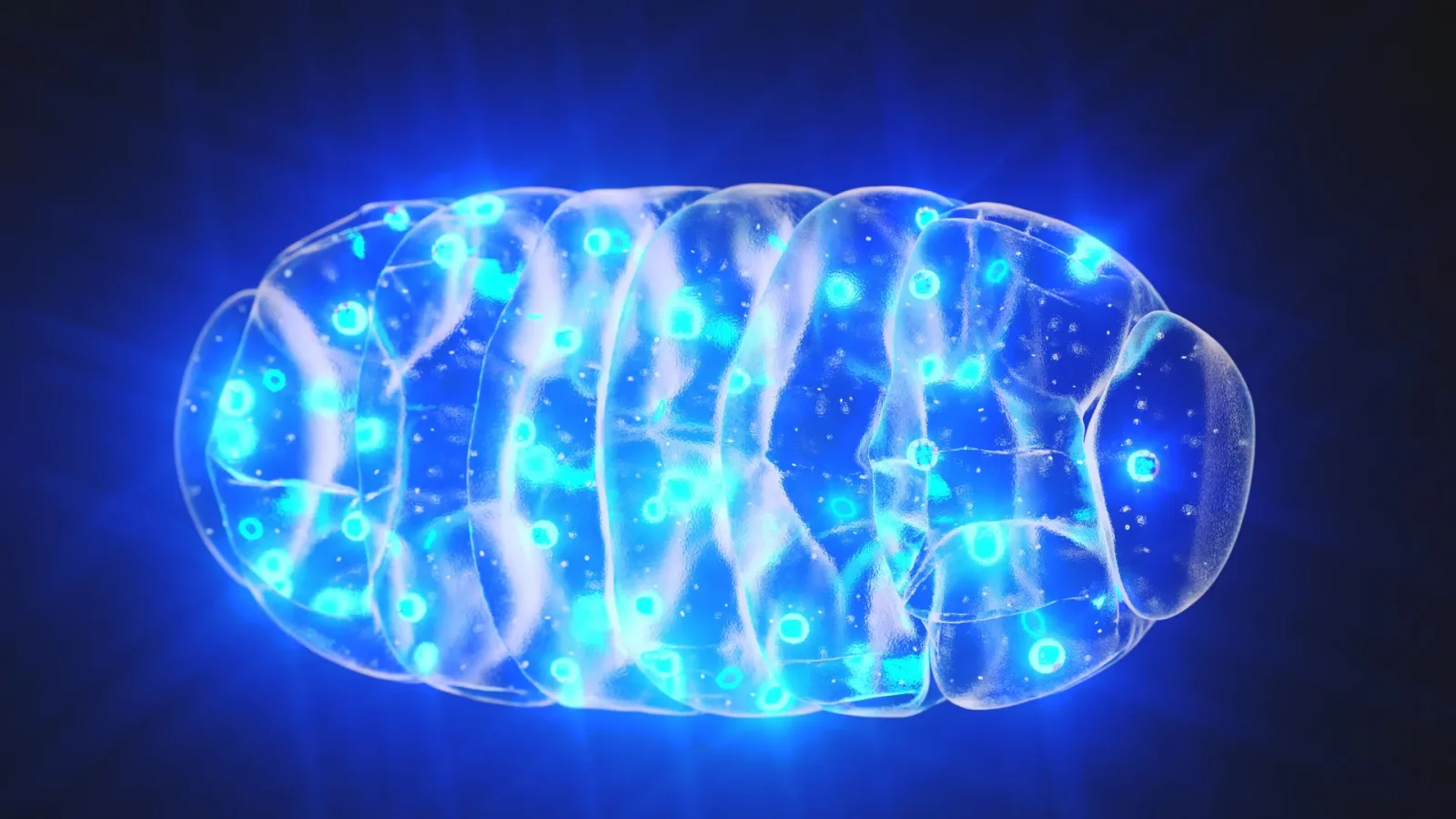 Recharging the brain's engines restores memory in dementia-model mice