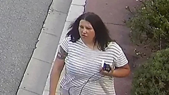 Monaco bombing: Ukrainian woman named as main suspect, cross-border manhunt widens