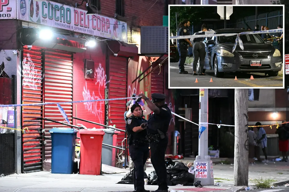 Brooklyn stray bullet kills mom of five outside Crown Heights bar