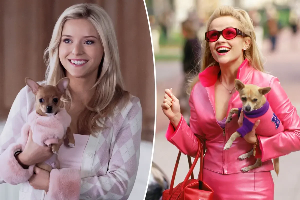 Elle Woods Gets Grunge-Glitz: Legally Blonde Prequel on Prime Video Delivers