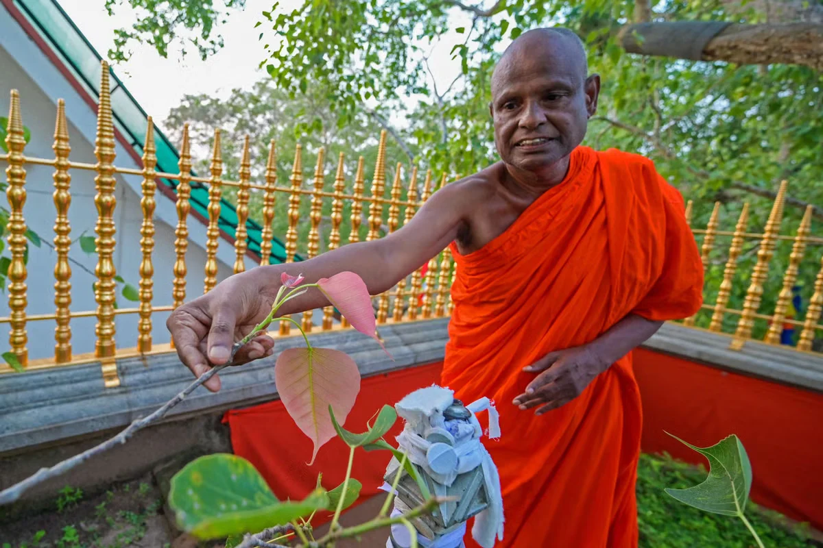 Sri Lanka’s senior Buddhist monk arrested in alleged minor abuse case