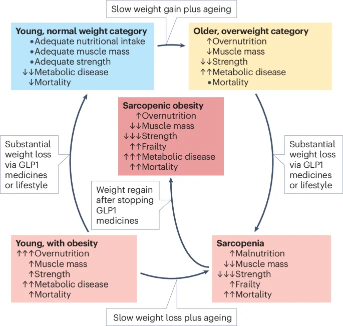 GLP-1 Weight-Loss Drugs: Is Muscle Loss Inevitable?