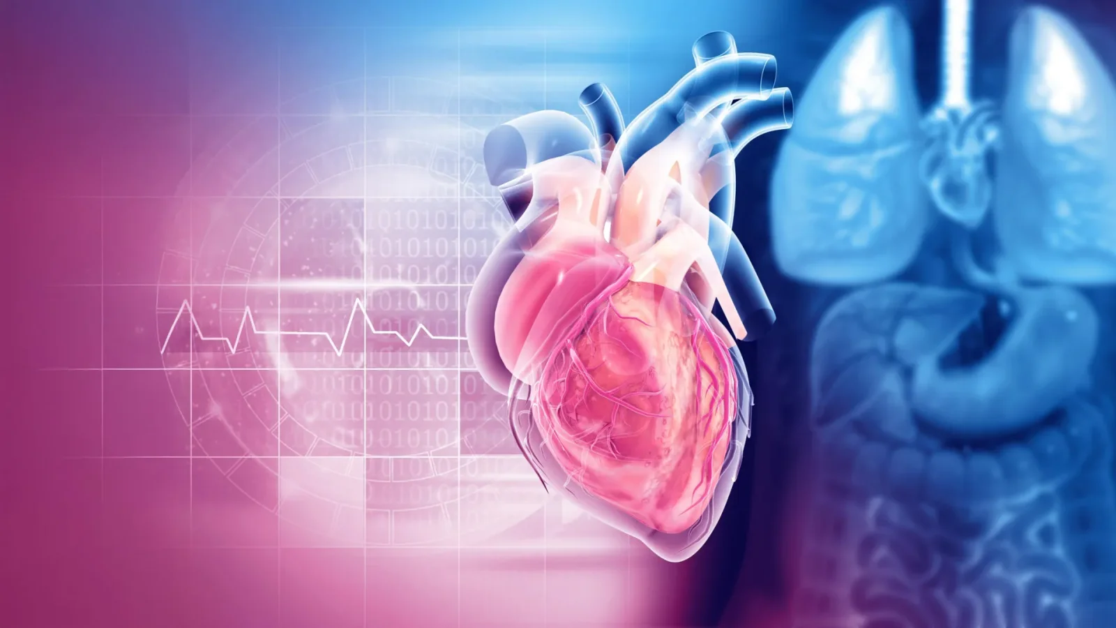 Calcium heart scans gain value mainly for middle-risk patients