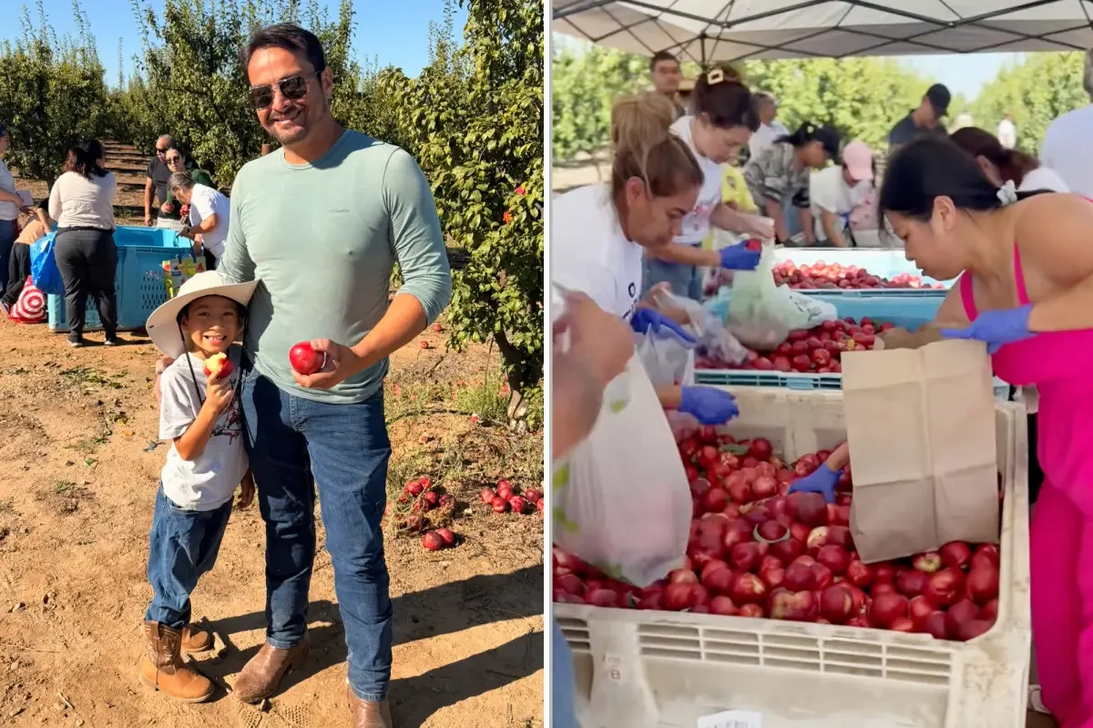Nectarine Free-for-All: California Farmer Clears 182,000 Pounds Amid Legal Battle