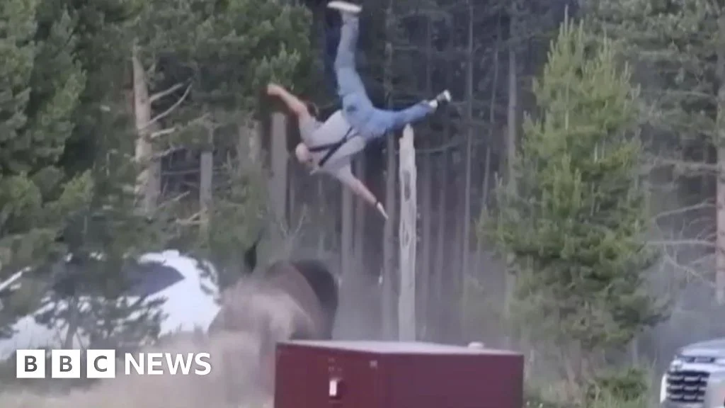 Yellowstone bison hurls elderly man after charging