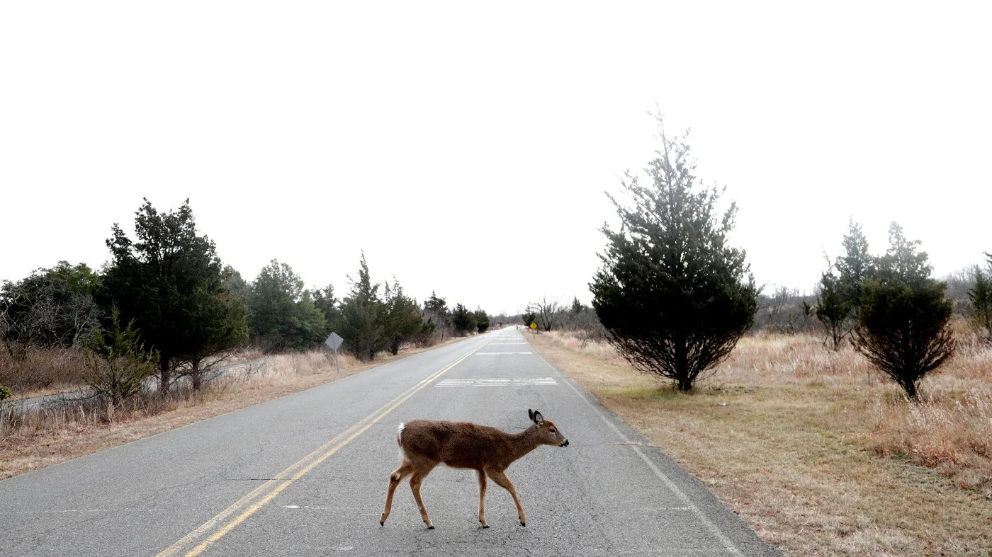 Impacts and Politics of the Ongoing Government Shutdown
