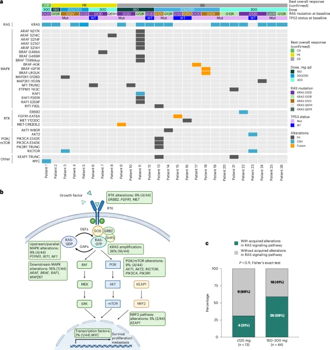 KRAS amplification fuels resistance to a RAS(ON) inhibitor in pancreatic cancer, guiding combo therapies