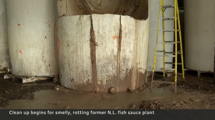 900,000 Liters of Abandoned Fish Sauce Prompt Cleanup—and a Chemistry Lesson