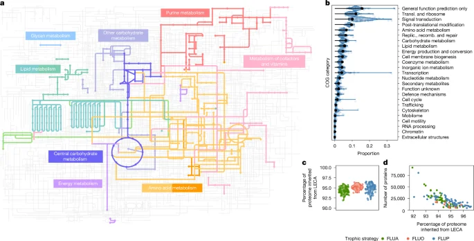 Diverse bacterial donors and giant viruses helped forge the first eukaryotes