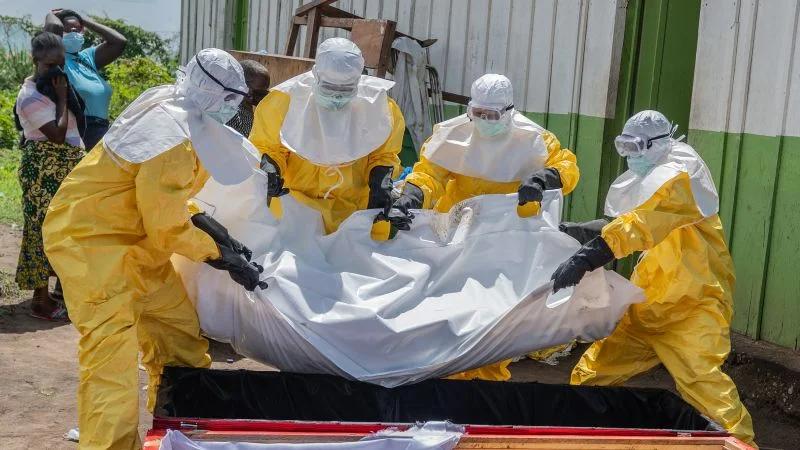 Bushmeat, rites and forests: why Ebola keeps flaring in the DRC