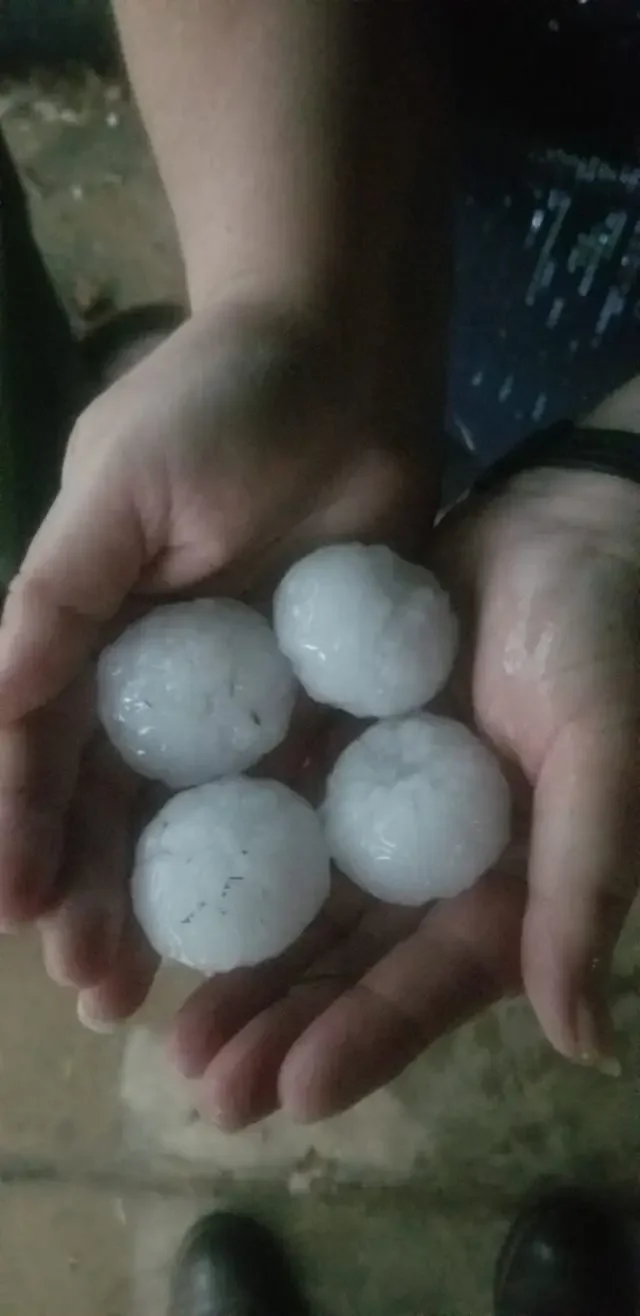 Hailstorm Ravages West of St. Louis.