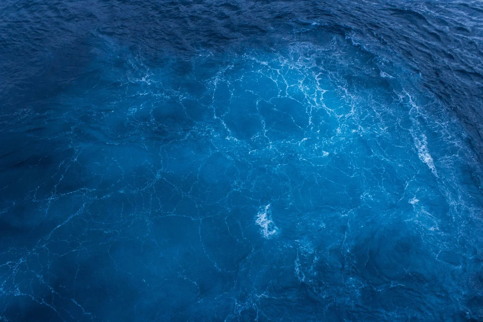 Ocean Microbes Provide About Half of Earth’s Oxygen, With a Hidden Footnote