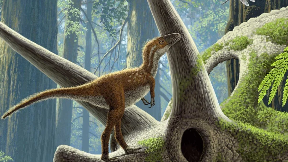 Cat-Sized T. rex Babies Were Quick to Hunt, Study Finds