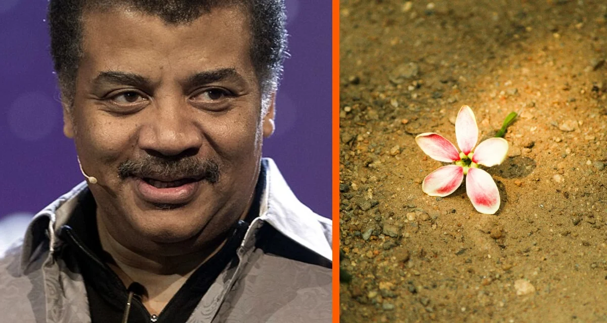 Cosmic energy lives on: Tyson on burial vs cremation