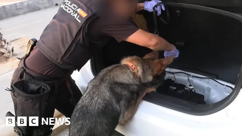 Spain-led sweep dismantles one of Europe’s largest smuggling rings