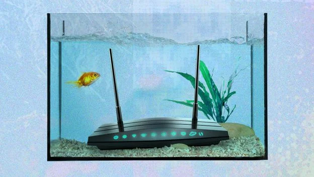 Weird Wi‑Fi Saboteurs and How to Beat Them