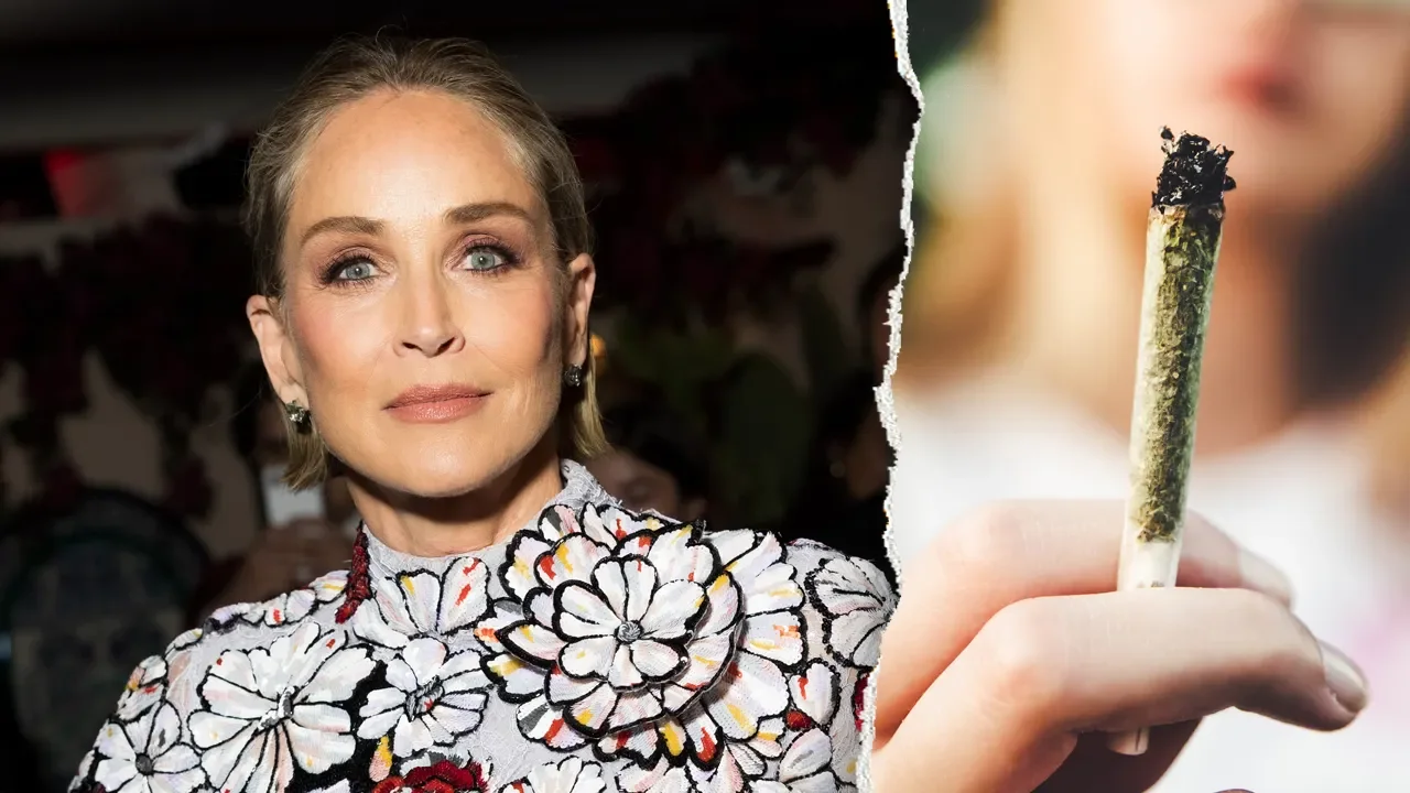 Sharon Stone’s cannabis withdrawal highlights risks of today’s high-THC pot