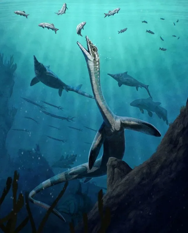 Ancient Triassic sea reptile reveals oldest known gut anatomy