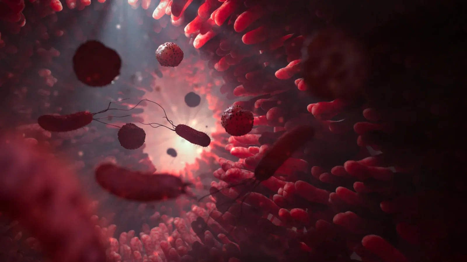 Low-fiber diets may push gut microbes to eat mucus; indigestible plant proteins could steer healthier outputs